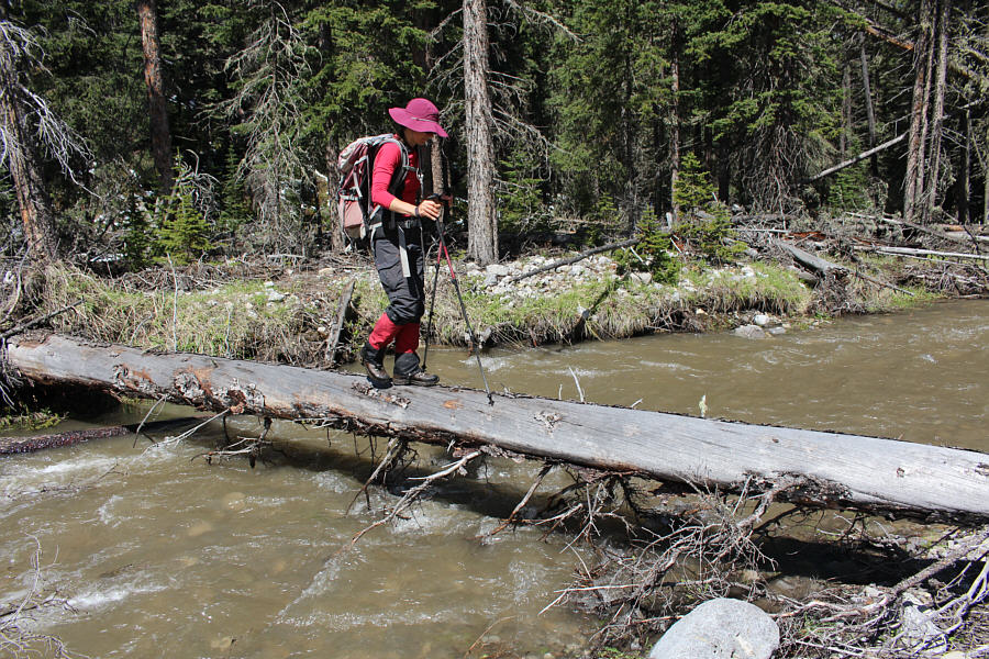 Who knows how long this log will remain here?