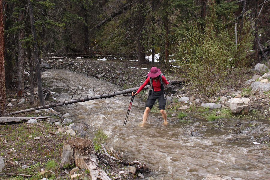 Zosia just loves to get her feet wet!