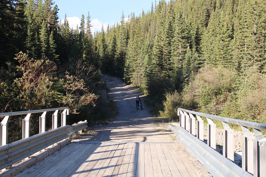 I had to push my e-bike as well, but at least I had the walk assist mode to help me!