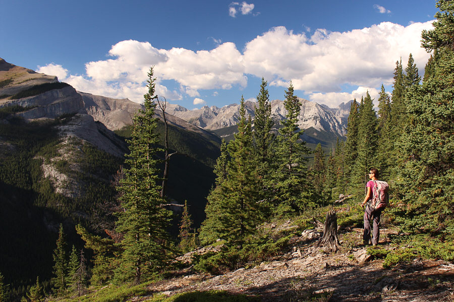 It's a bit of a steep grunt to get here, but the worst is over!