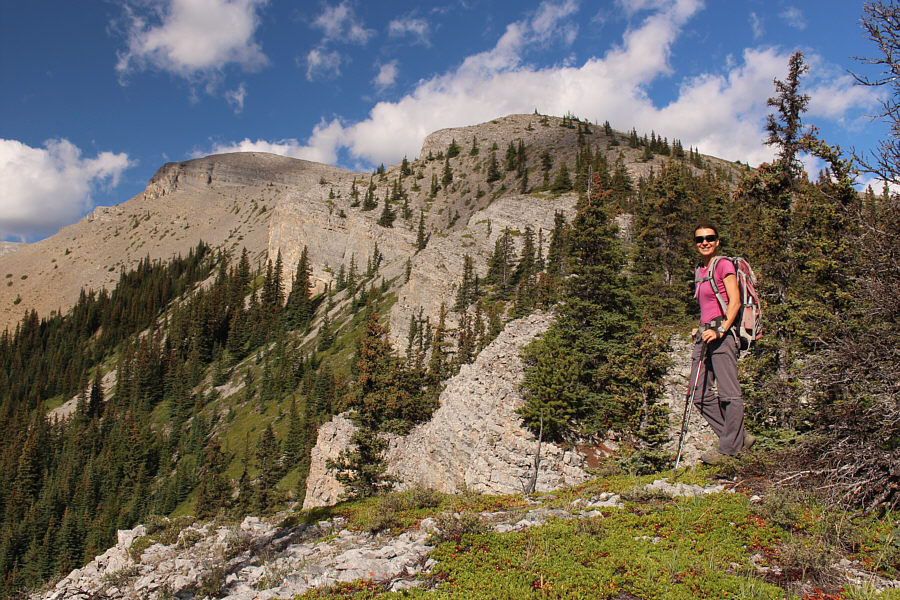 The hike is actually enjoyable now!