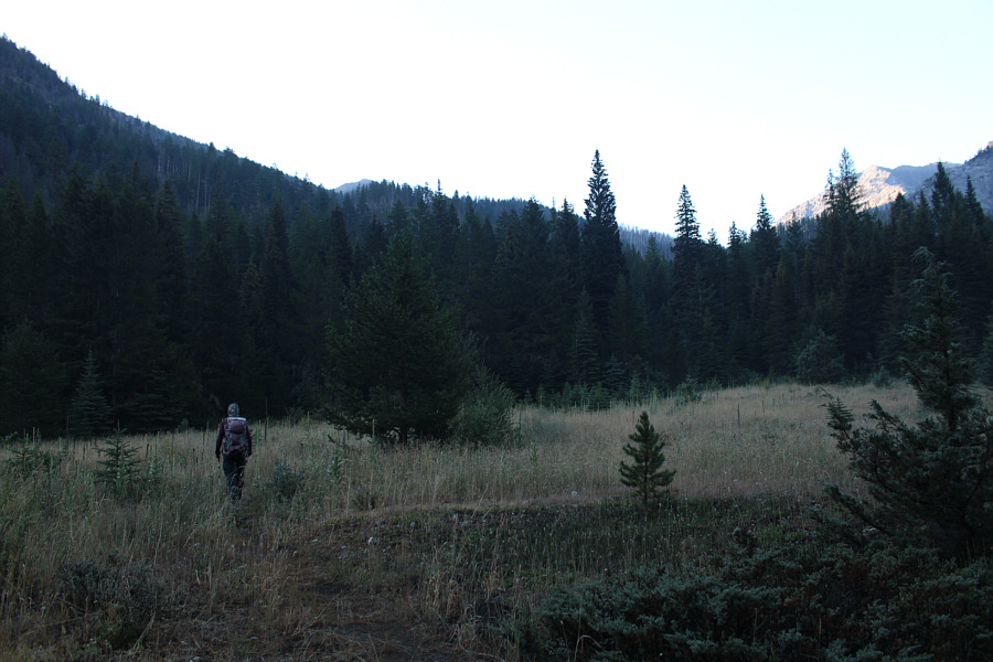 Some flagging would help here!