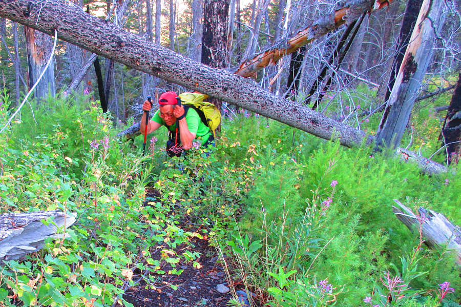 Luckily, there wasn't too much of this!