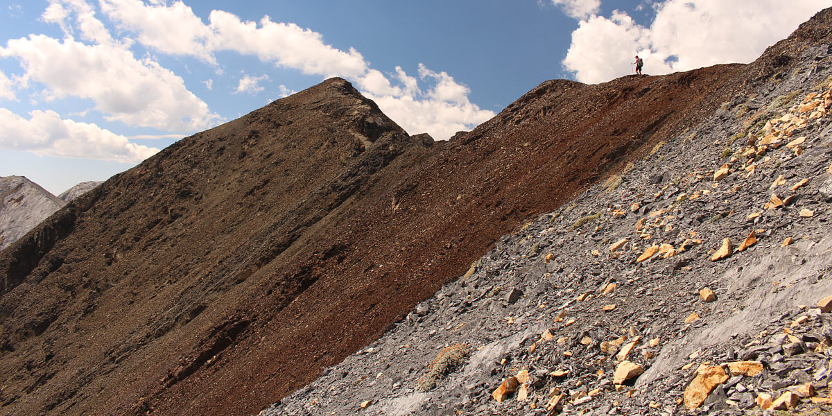 I think we're gonna make it...