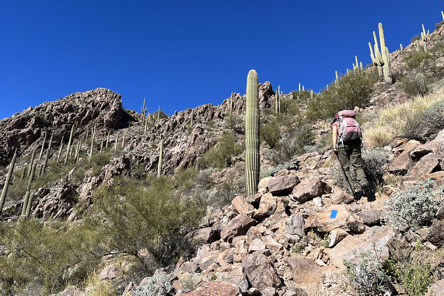 Watch out for loose rocks here!