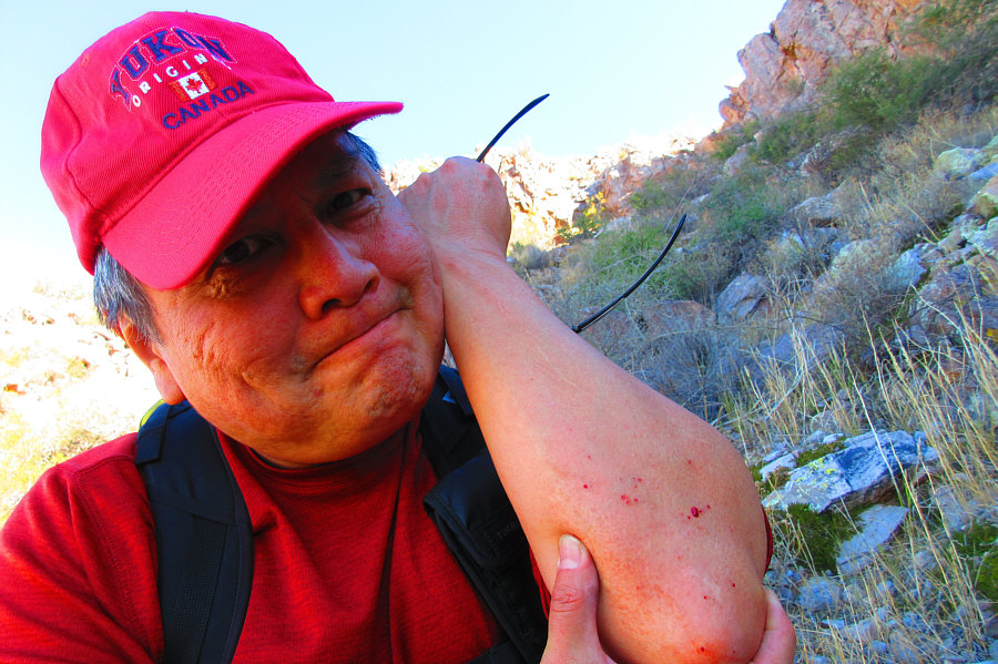 I actually had to pull out a couple of broken spines! Ouch!