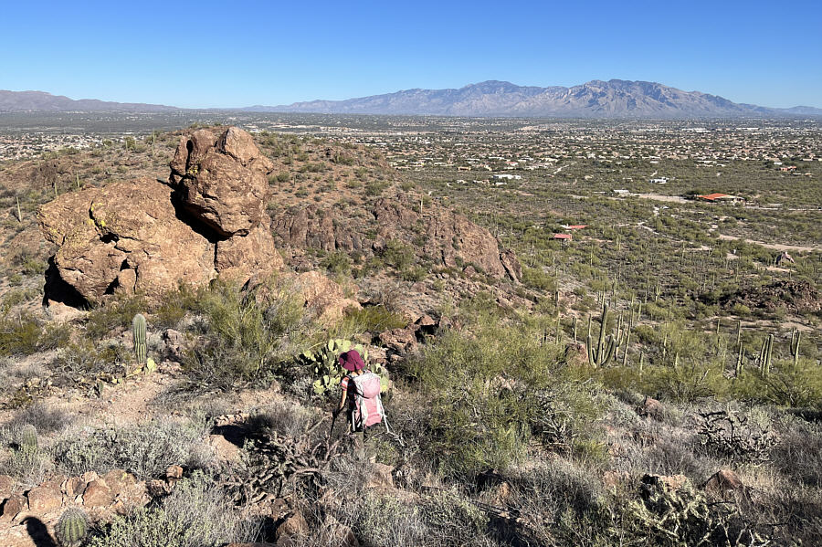 Lotsa reflection going on here!