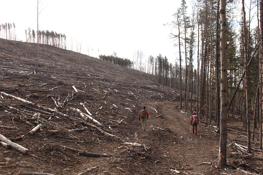 Welcome to Alberta's PLUZ.