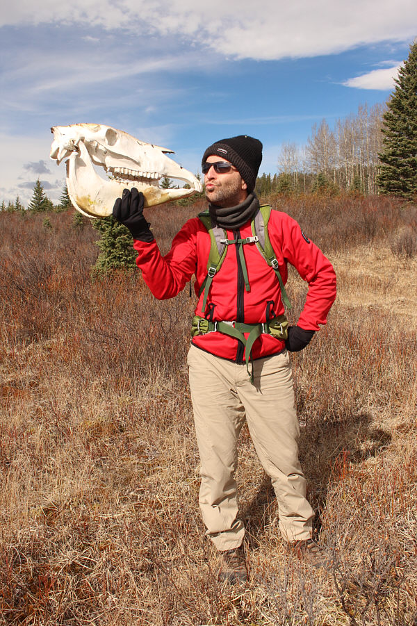 This skull has better teeth than me!