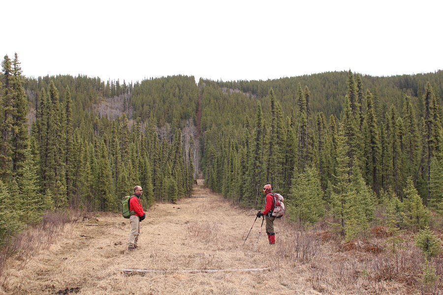 Yikes! Get ready for a steep grunt!