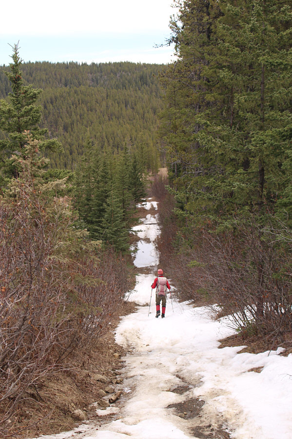 We should have brought our skis! Just kidding.