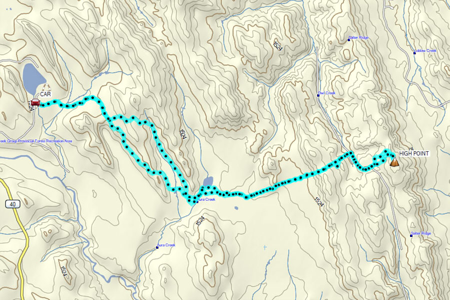 Horse poop everywhere...'nuff said!