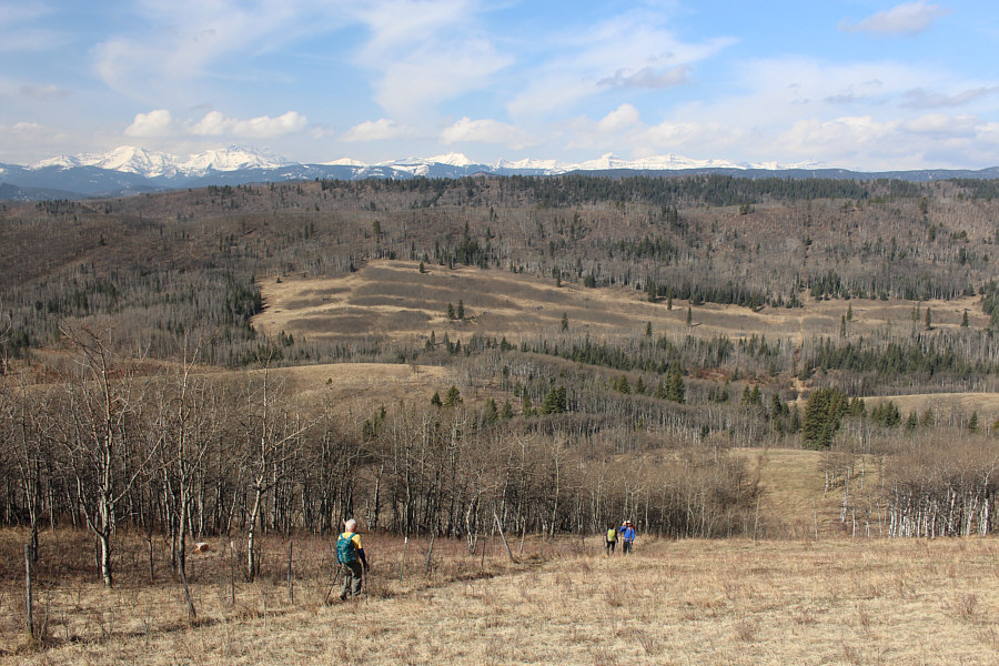 Not bad views already!