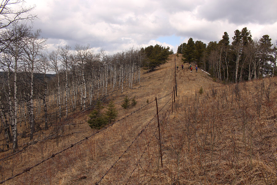 No need to hop the fence here--stay on this side!