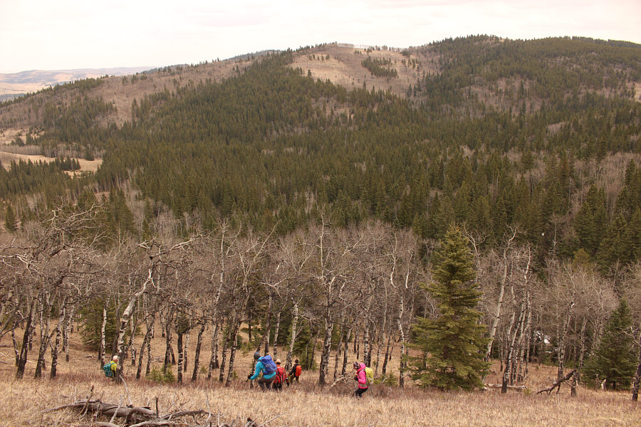 This is turning into quite a roller coaster ride!