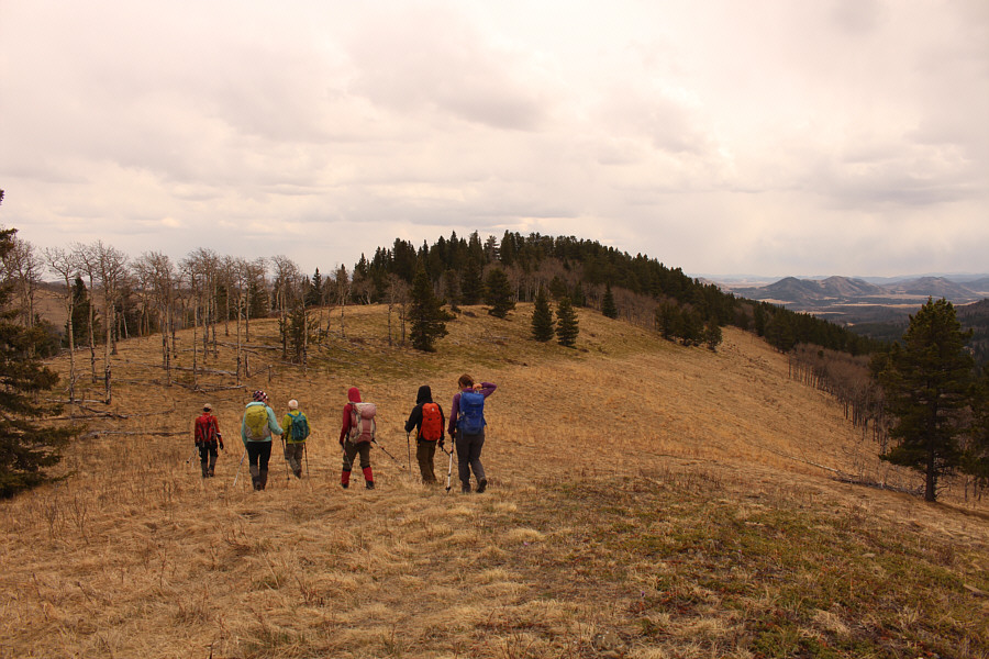 Why are all the high points in trees??