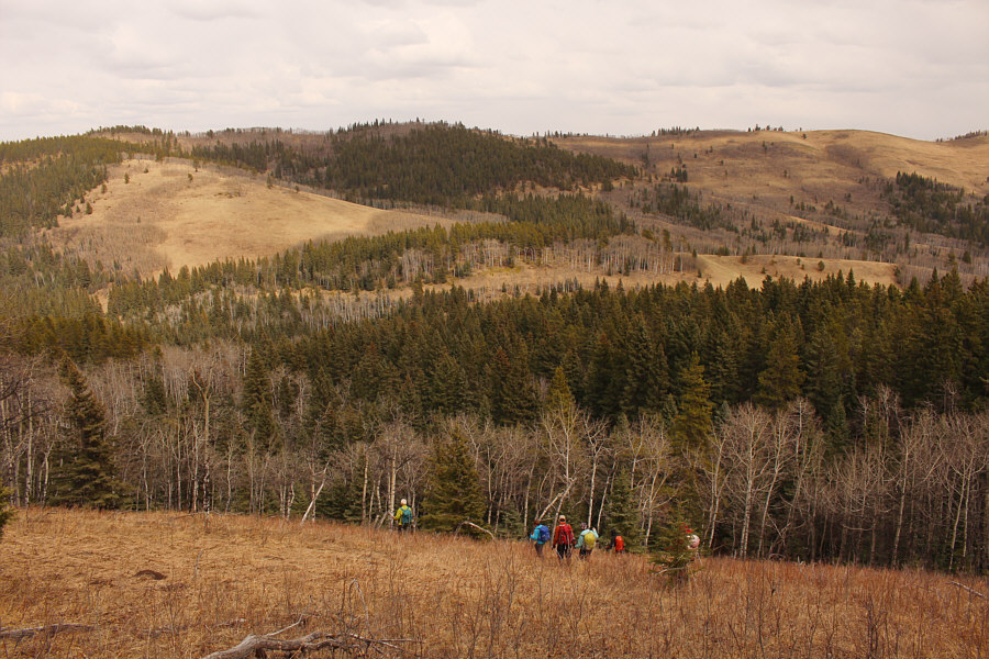 Last big dip...I promise!