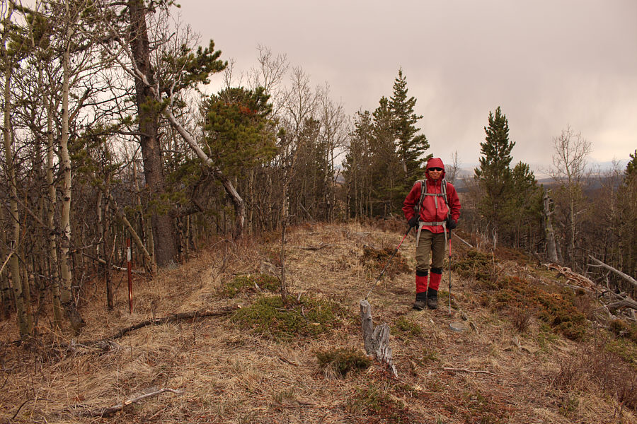 Could be disputed given how close in height the northern high point is...