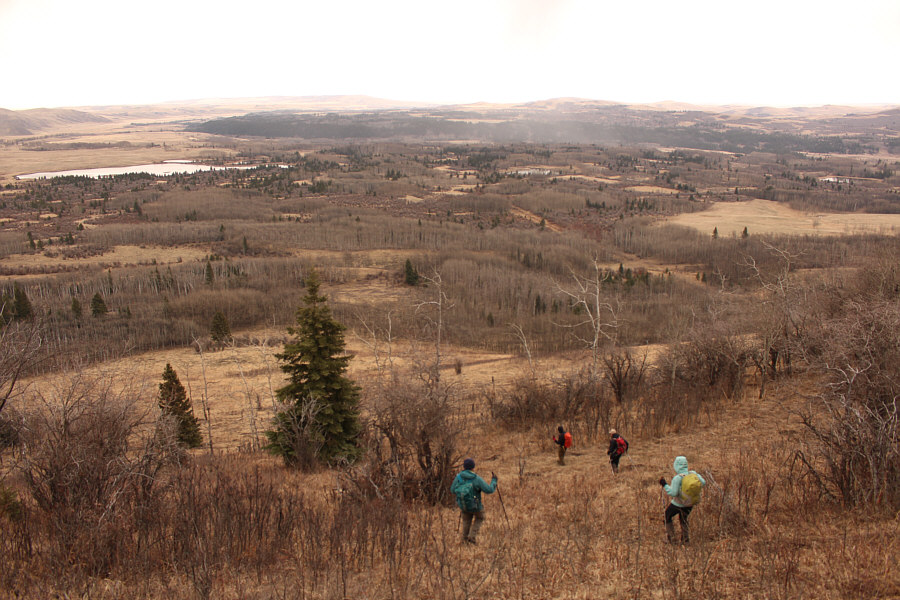 On the home stretch...finally!