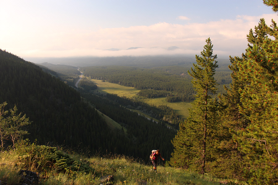 What a grunt already!