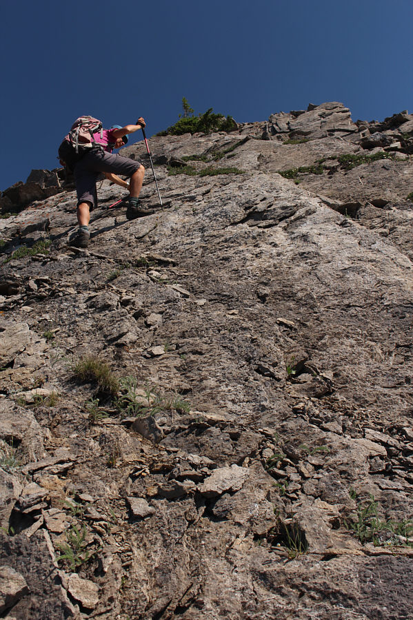 A scrambler's paradise!