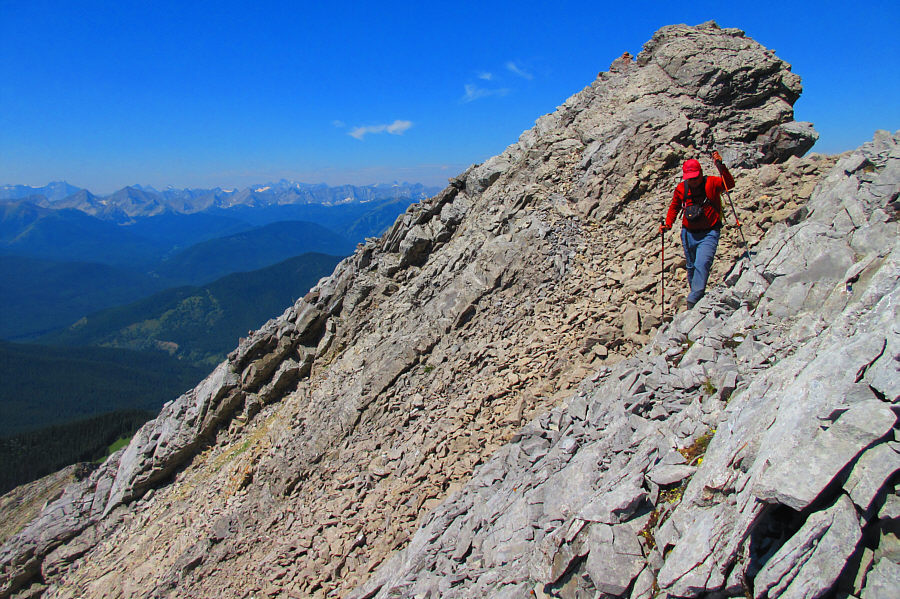 Bad ankles will make you do that!