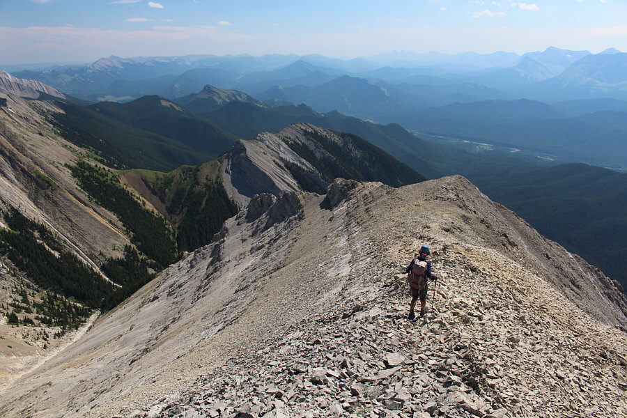 Let the stumbling begin!