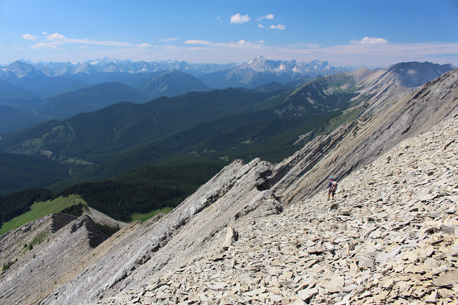 We have some work to do here...