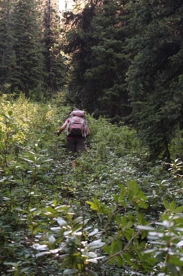 The steepest of several annoying uphill climbs on the hike out.