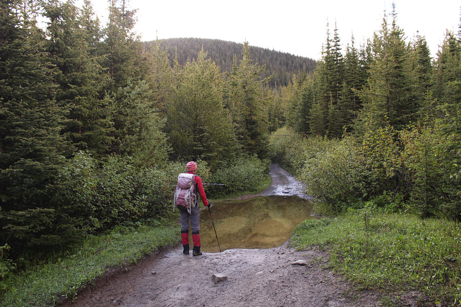 I guess the Ultra runners just run through this?