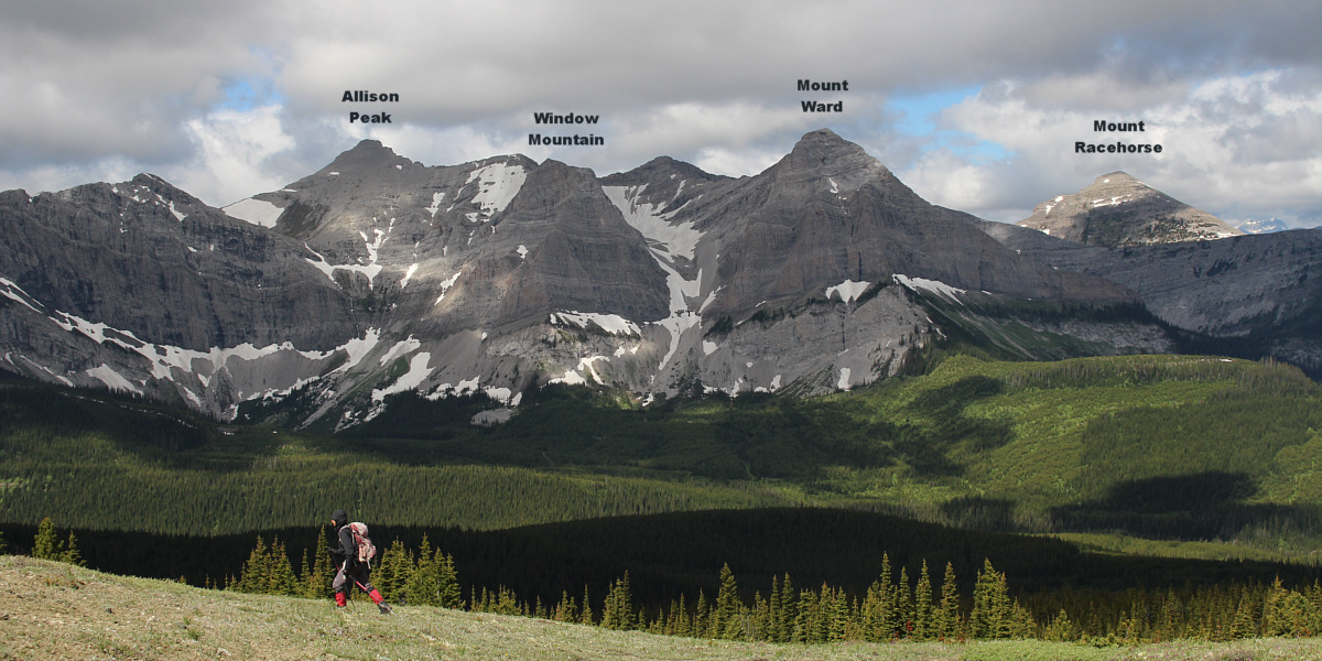 It's like walking by old familiar friends!