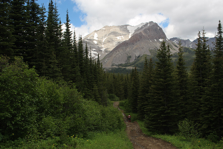 And we didn't see a single ATV on this road!