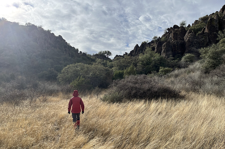 The path itself is quite bushy--don't wear shorts!