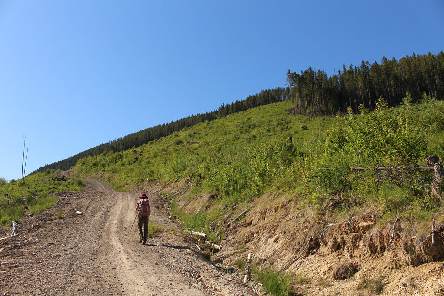 I could've driven up this, but we're here to hike, right?
