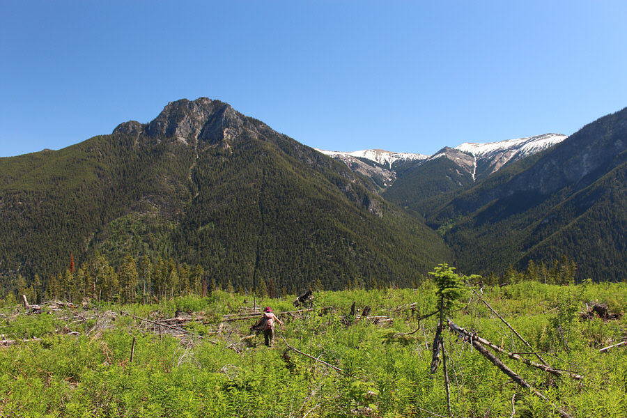 Let's GTF outta here before some bear comes by. Or worse...another peak-bagger!