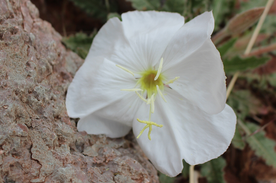 Finally feels like spring!