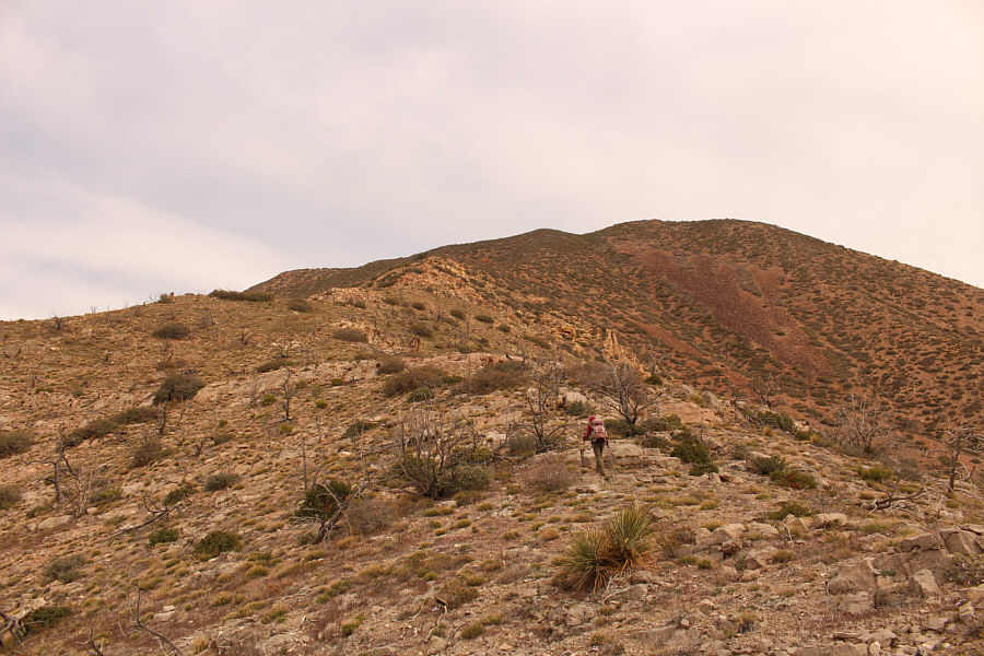 It's basically a steep grunt!