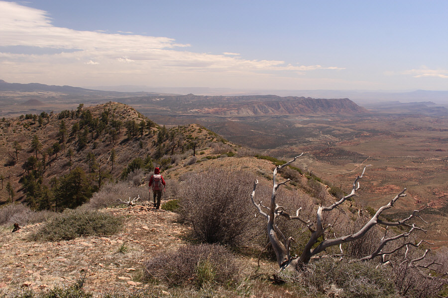 Because we need to tag ALL the high points on Square Top Mountain!