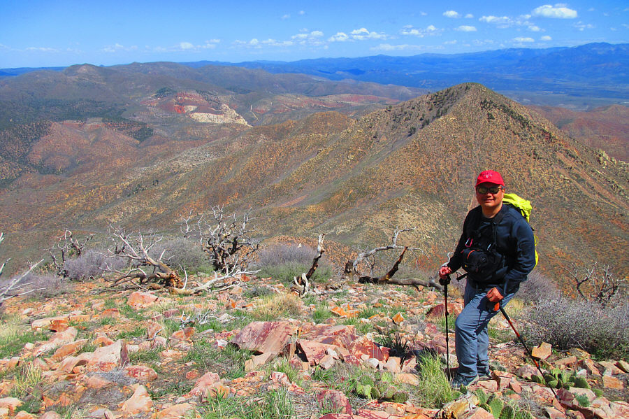 Watch your step around here...lotsa cacti!