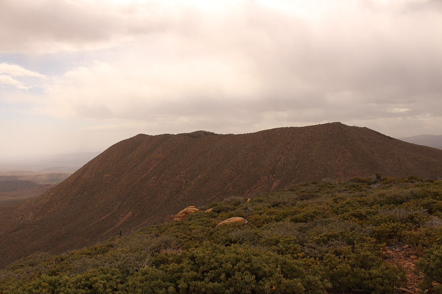 Who ordered this crappy weather?