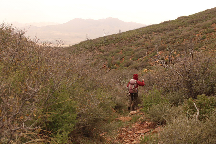 We're not out of the woods just yet...