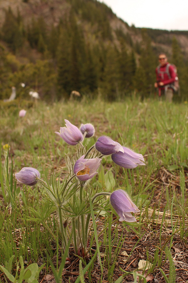 A sure sign that spring is finally here!