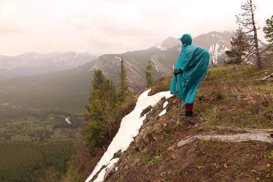 Teal looks good on Zosia!