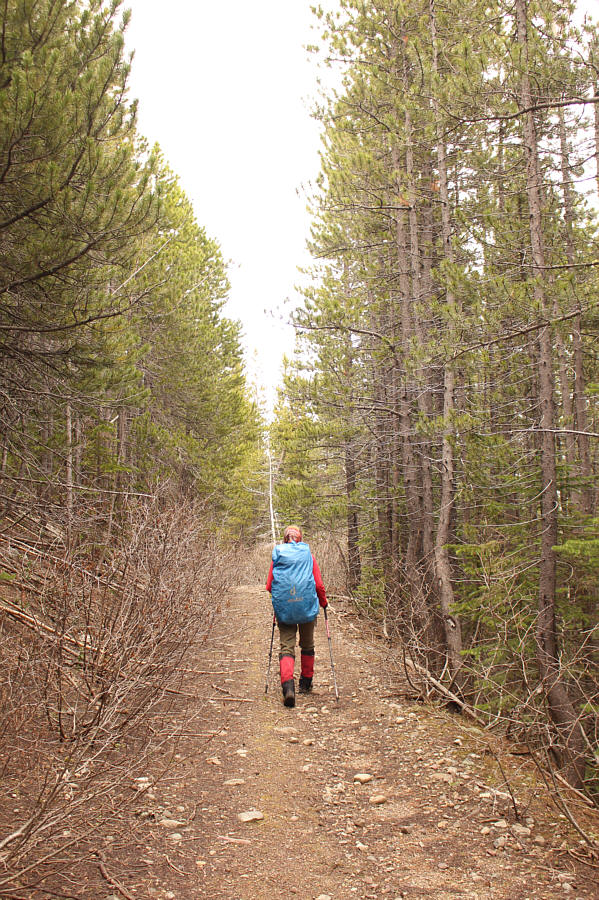 How luxurious to have a dry trail that's easy to follow!