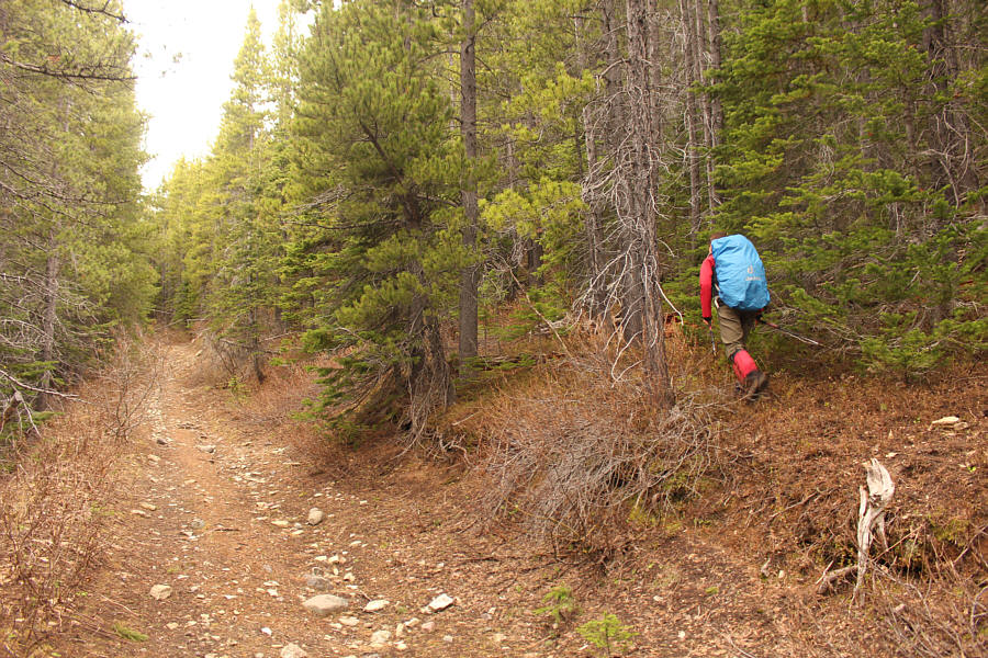 After consulting Google Earth, I was surprised by where this side road goes...
