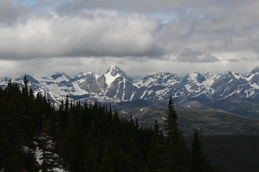 The ascent of Mount Darrah is only for the brave or the foolhardy!