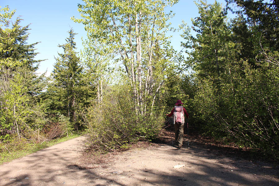 Insert your favourite Robert Frost poem here...