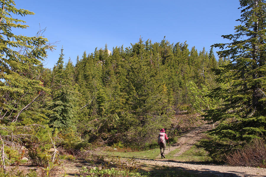 The fire lookout seems to be missing its top...