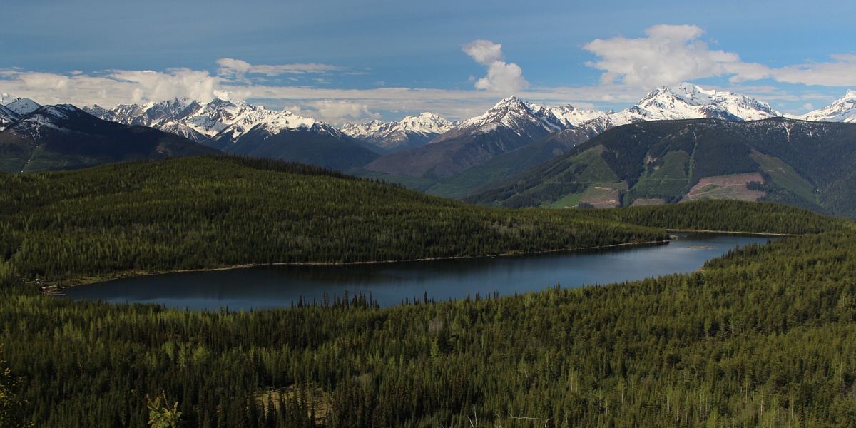 Wow, we weren't expecting this view!