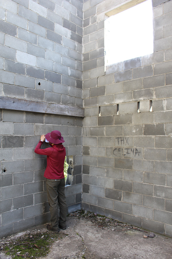 Thank Celina for what?? Hmmm...